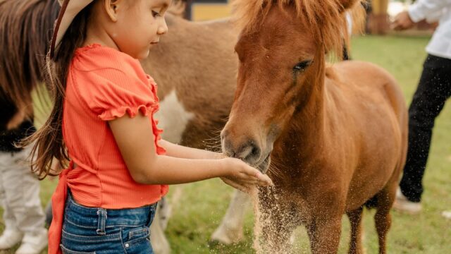 471441772_18058954774911491_8126809065503874292_n