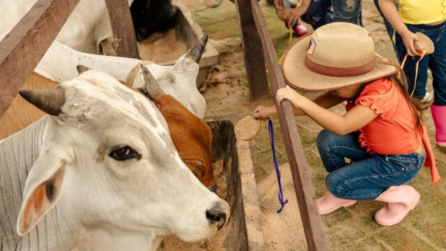 471519619_18058954783911491_5187163329402371493_n