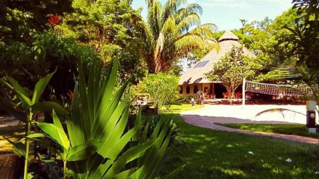 473811401_1048583633967658_6738156991471621086_n