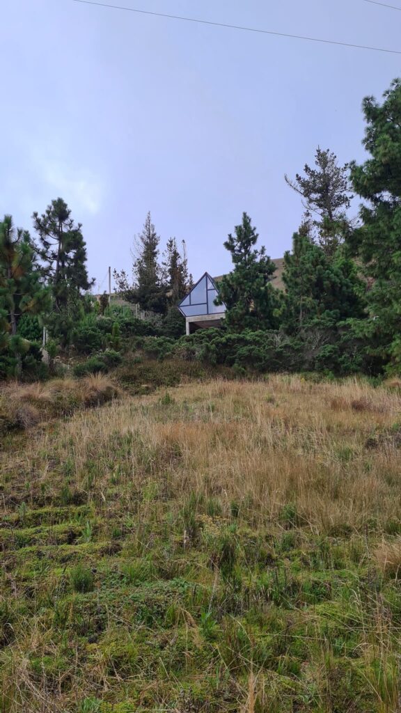 474762322_946196370945615_4846395393255039158_n