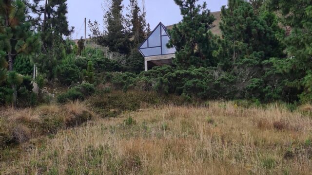 474762322_946196370945615_4846395393255039158_n