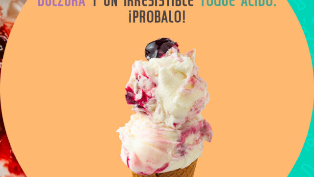 475537361_122137703738495001_975654251979198615_n