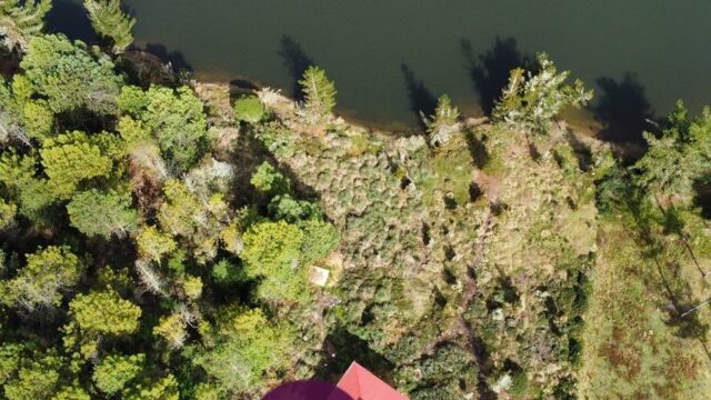 476009433_953007750264477_1773425282383179514_n