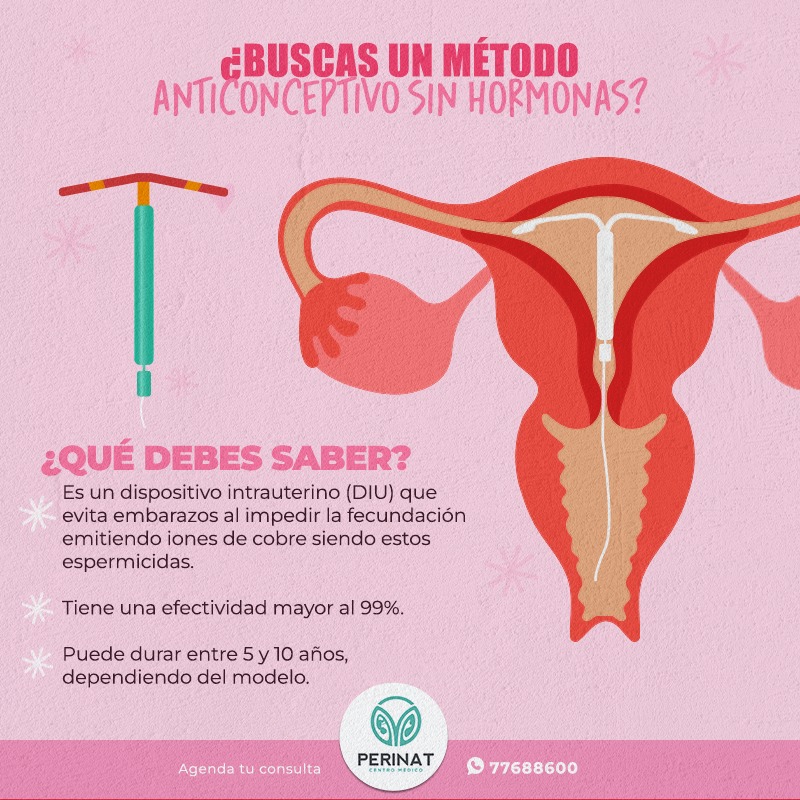 476805369_1032568952249229_8844044480806980436_n