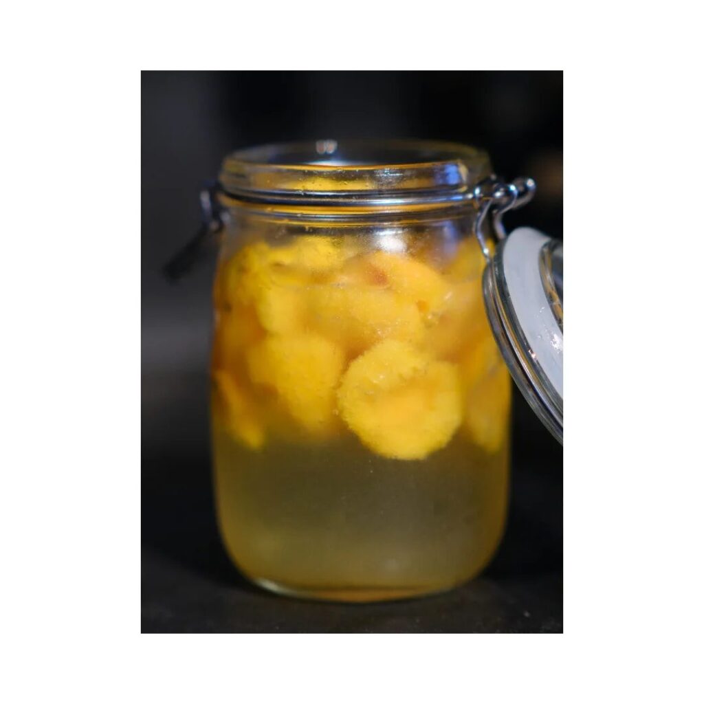 476993097_122207230142199157_1526457270576167666_n