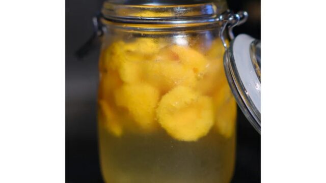 476993097_122207230142199157_1526457270576167666_n