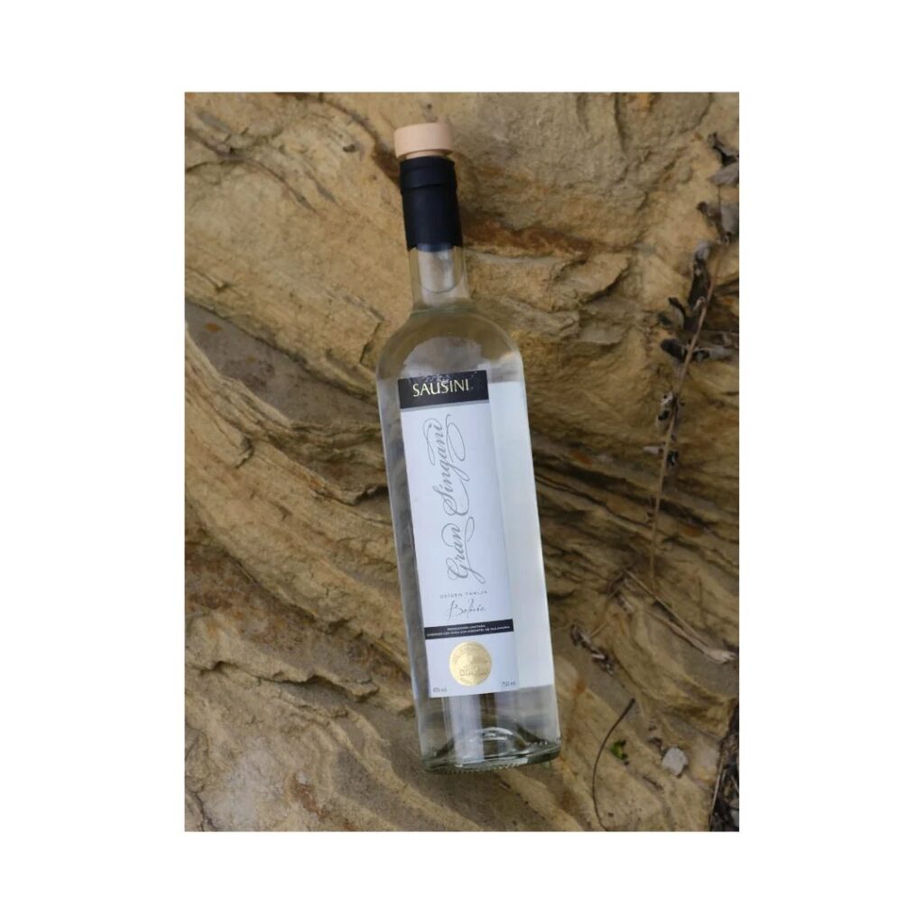 476997856_122207189210199157_8488600049918475387_n