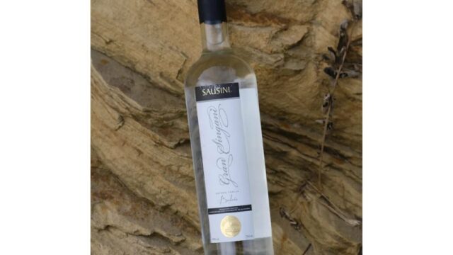 476997856_122207189210199157_8488600049918475387_n