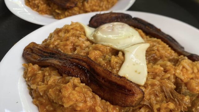 479888448_1061939805961502_8107376614556146338_n