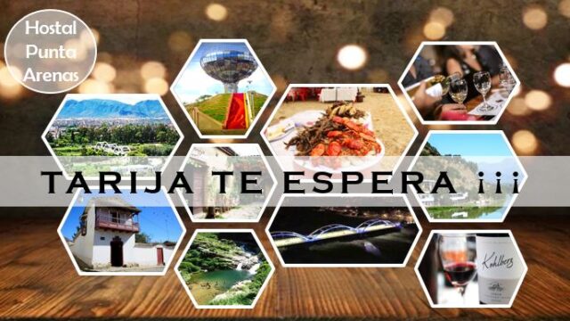 480499824_1186133340185037_6055457363082182679_n