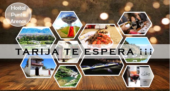 480499824_1186133340185037_6055457363082182679_n