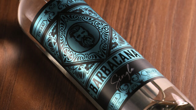 480791564_1110801414179316_3994263601127250069_n