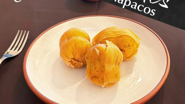 481059051_122111673338740065_351788101596334504_n