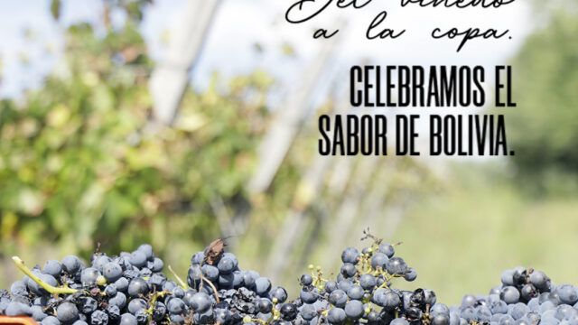 481070169_1115743143685143_3600807677282622356_n