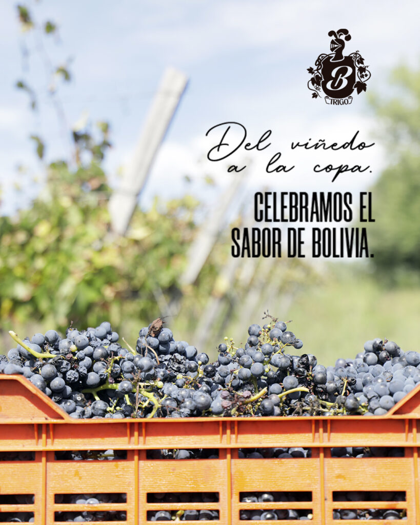 481070169_1115743143685143_3600807677282622356_n