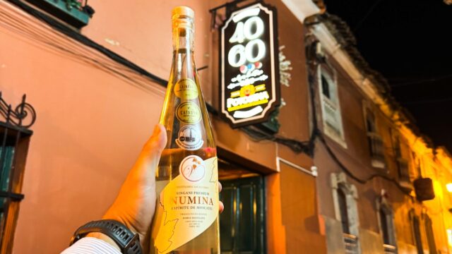 481174192_955169266737195_7987273406276339141_n