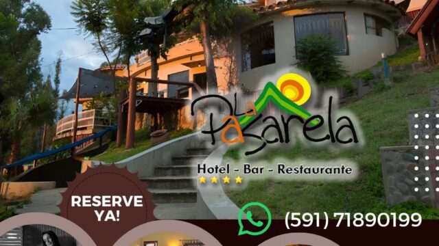 481222913_1128477122309904_3790166867148365343_n