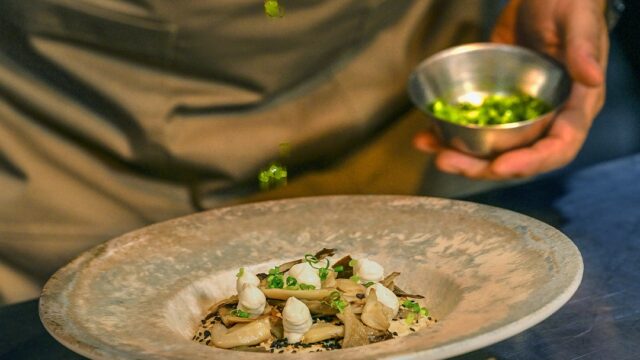 481252288_122143865870515545_2304755880573398495_n