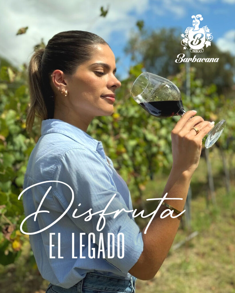 481255917_1112826647310126_6815440570569960837_n