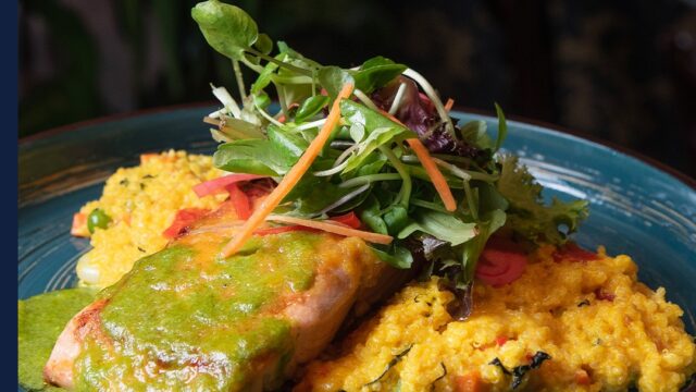 481329301_556289404119166_2085180065478222484_n