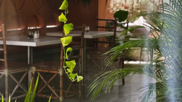 481757127_17973202982821356_3209018965421273415_n