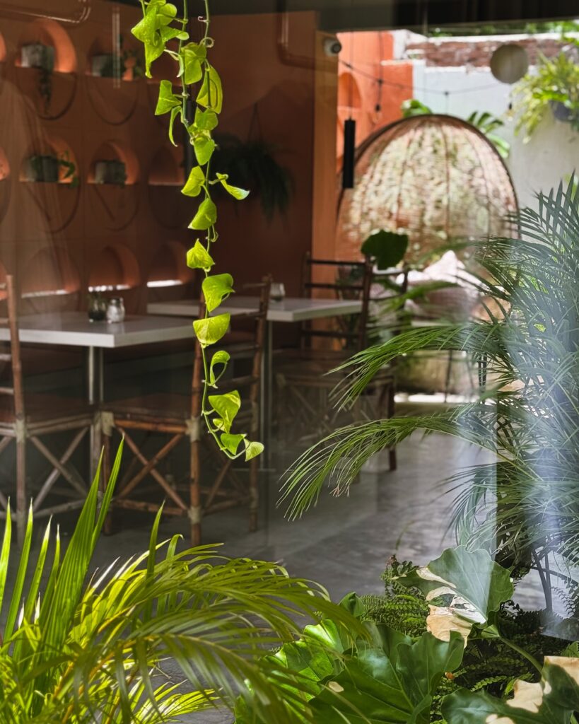 481757127_17973202982821356_3209018965421273415_n