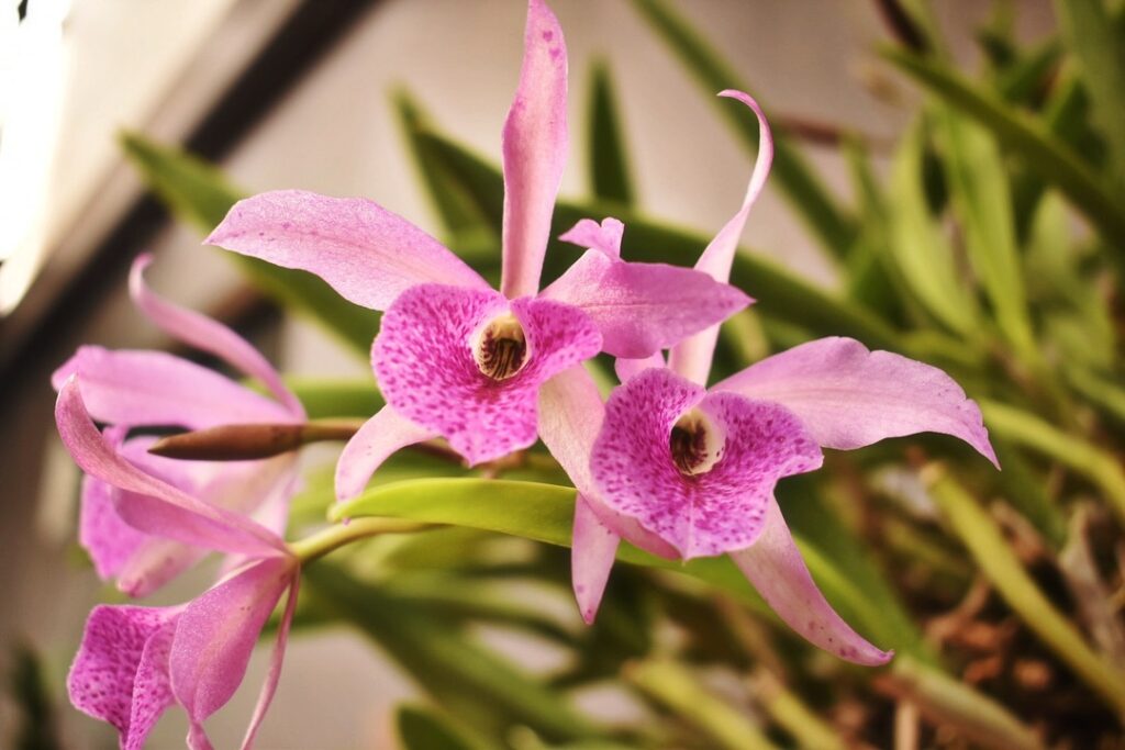 481987375_18020948315668486_3219059650257030767_n