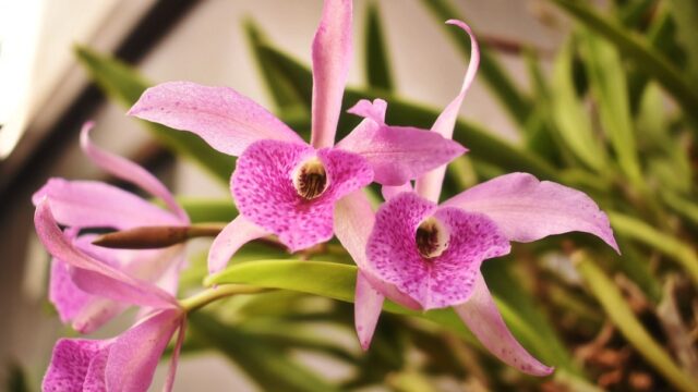 481987375_18020948315668486_3219059650257030767_n