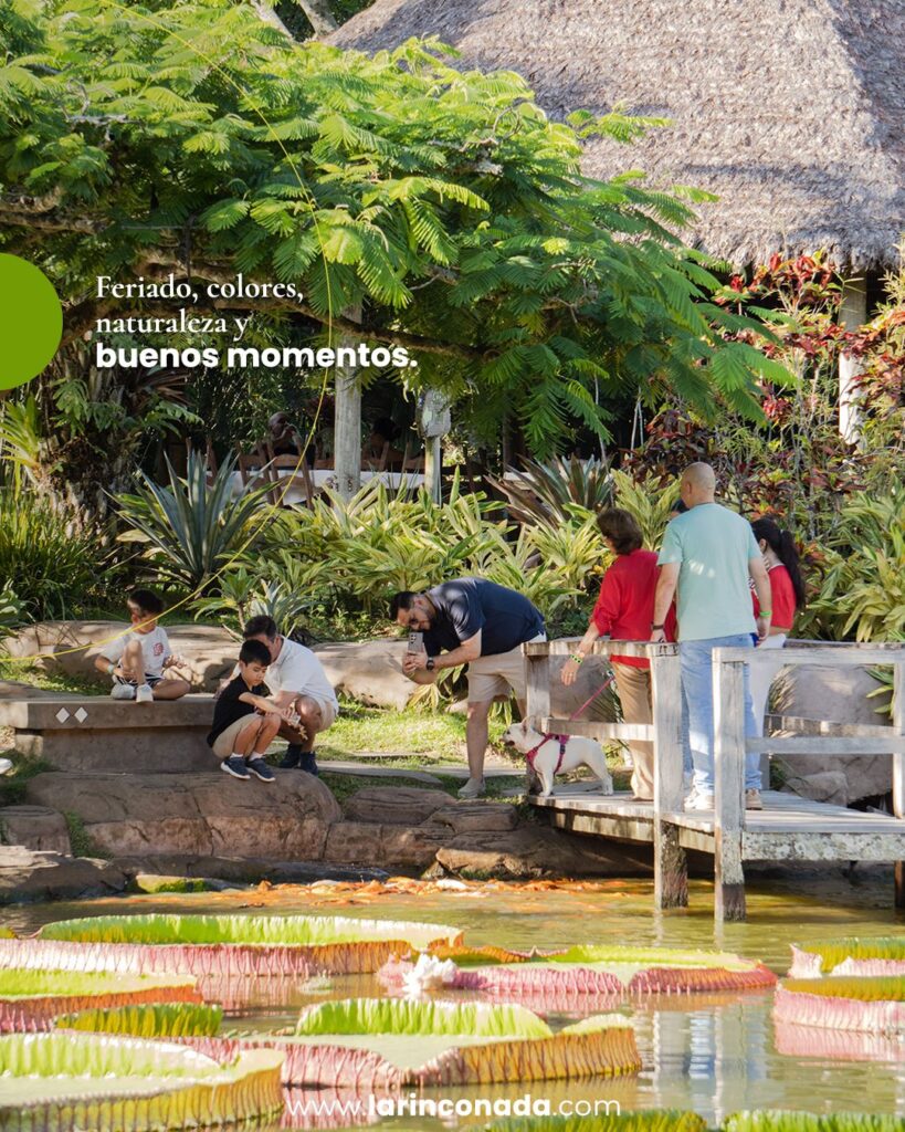 482084870_1047239060781850_5560548296170755302_n