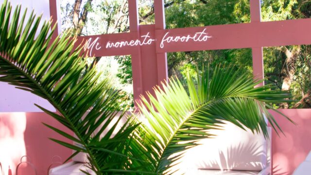 482301274_1314752236283376_4010215254521968760_n