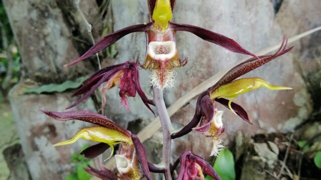 482986977_9458399680887200_3608897034372611221_n