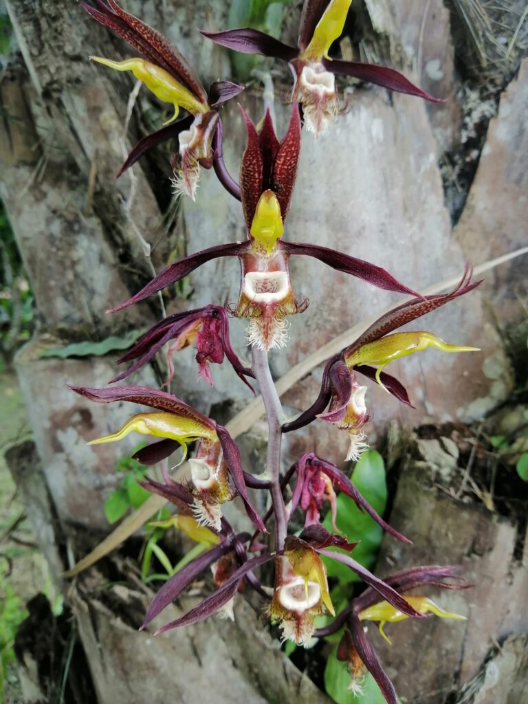 482986977_9458399680887200_3608897034372611221_n