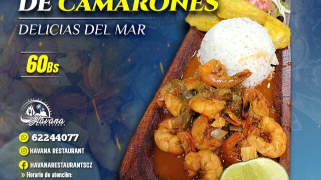 484898404_1221566489973160_7003436925428654274_n