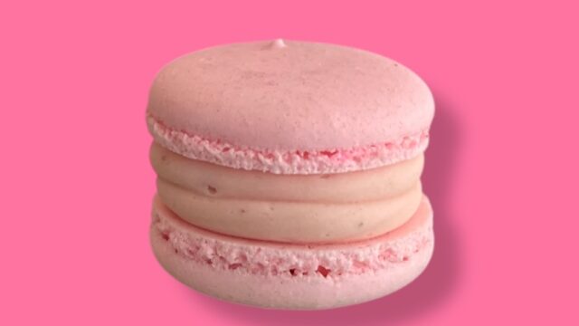 485609206_18304682383225835_7236175376411346699_n