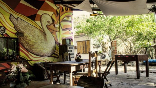 485800074_1044630041021022_8789494217759074756_n