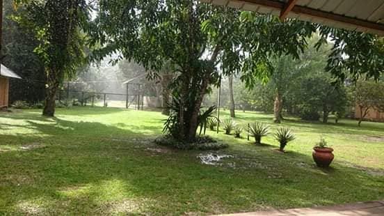 49298236_2091169090943666_2211527168071041024_n