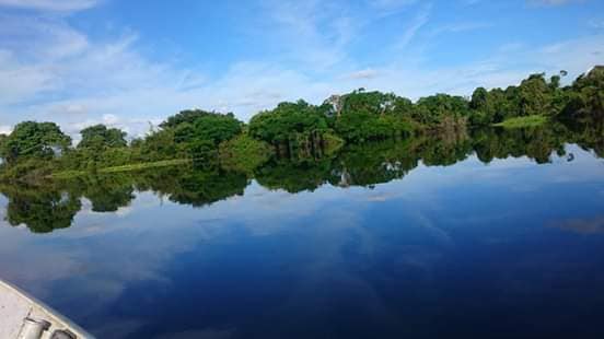 49698458_2091169440943631_1925728529387880448_n