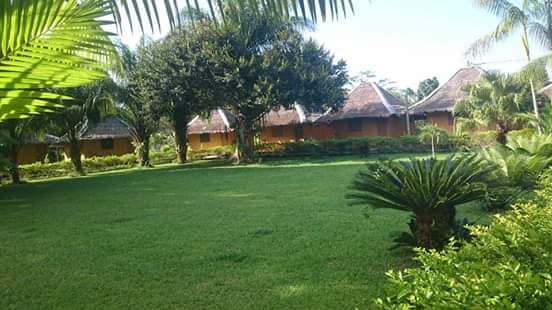 50127076_2091169130943662_9158096505414877184_n