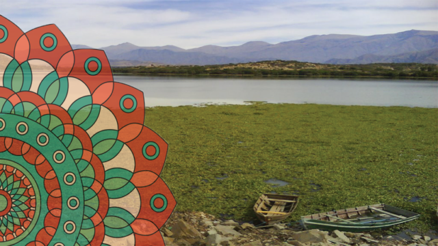 61917692_2331112863800697_3278605388966002688_n