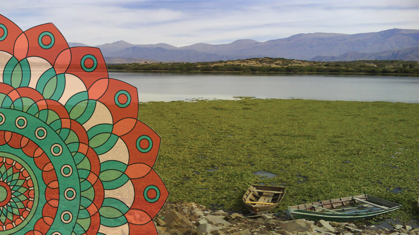 61917692_2331112863800697_3278605388966002688_n