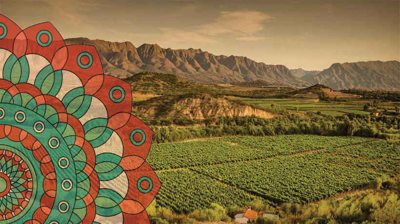 62236506_2331112870467363_348087467045289984_n