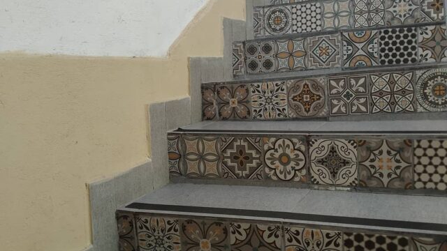 65042613_2340144459564204_5806538288017702912_n