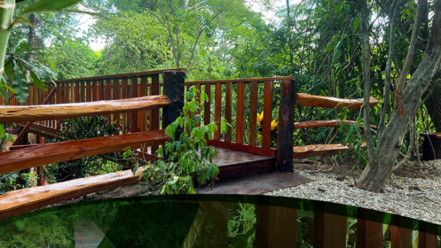 Captura de pantalla 2025-03-11 111609