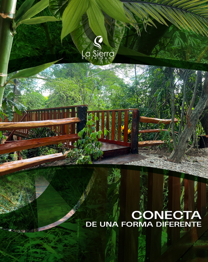 Captura de pantalla 2025-03-11 111609