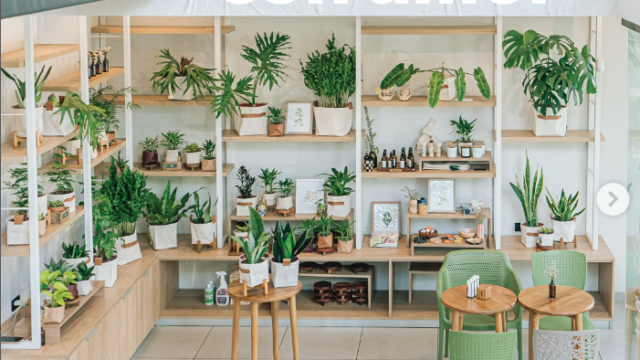 Captura de pantalla 2025-03-11 162422