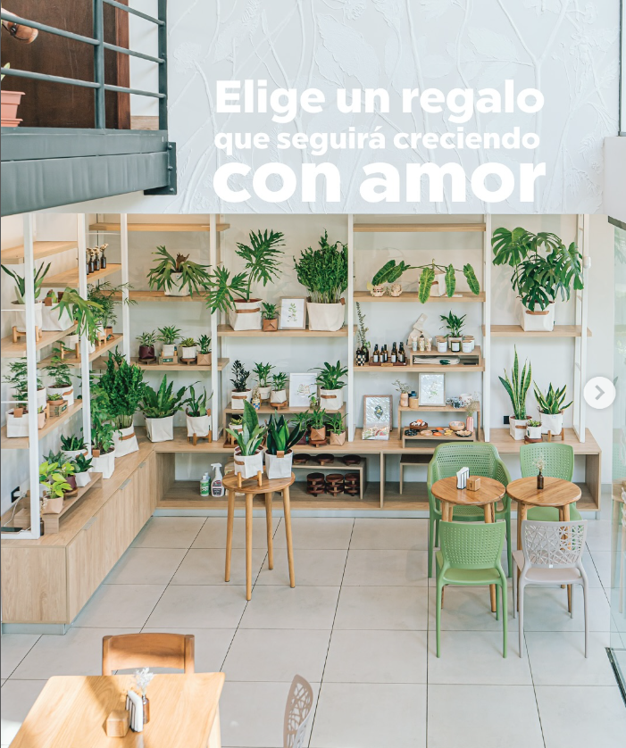 Captura de pantalla 2025-03-11 162422