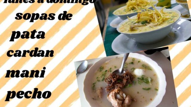 117602043_151578329896220_7668071976999364813_n