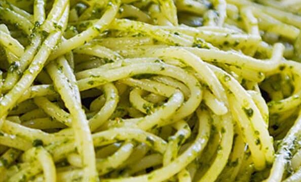 148951538_2876173696037130_8369782500900923801_n