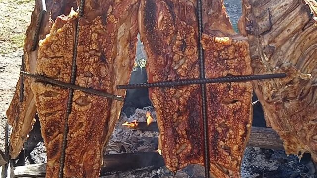 187402152_845561516397637_1205221457134527839_n