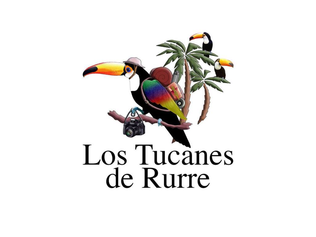 305033886_508438497948392_1322483222226420656_n